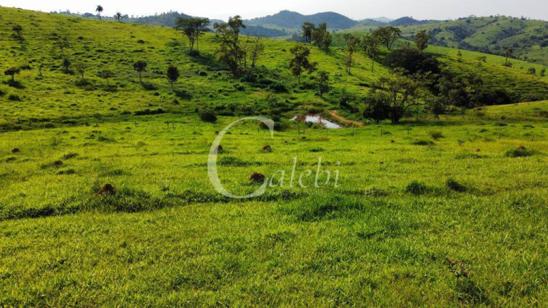 Imagem Fazenda à Venda, 160 m² em Itapira Imagem Fazenda à Venda, 160 m² em Itapira