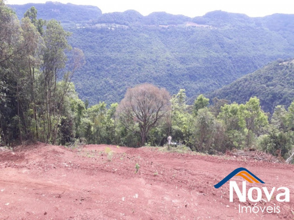 Imagem Imóvel à Venda, 31.701 m² em Linha Pirajá Baixa - Nova Petrópolis Imagem Imóvel à Venda, 31.701 m² em Linha Pirajá Baixa - Nova Petrópolis