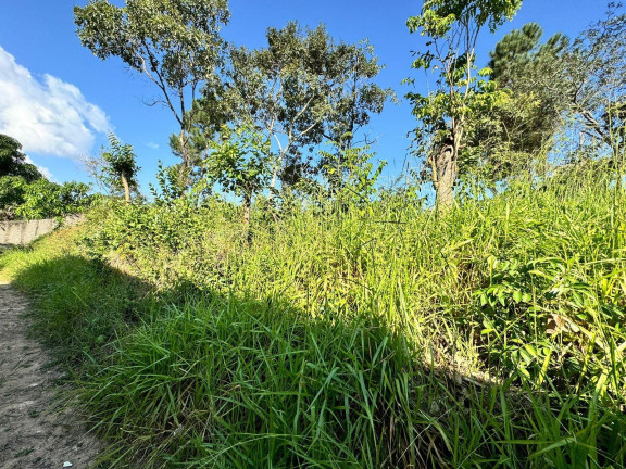 Imagem Terreno à Venda, 1.500 m² em Condomínio Vale Do Ouro - Ribeirão Das Neves