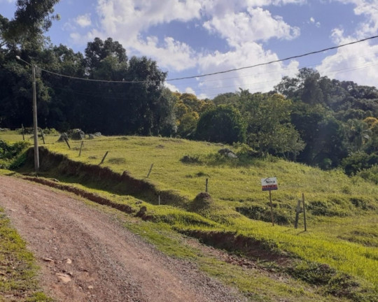 Imagem Imóvel à Venda, 969 m² em Br116 - Nova Petrópolis Imagem Imóvel à Venda, 969 m² em Br116 - Nova Petrópolis
