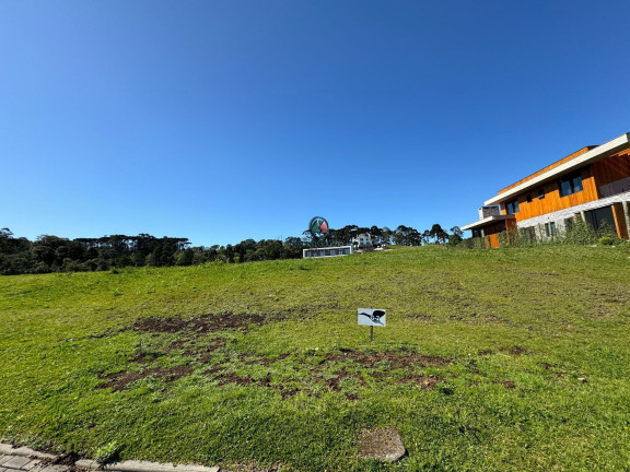 Imagem Terreno à Venda, 978 m² em Vale Das Colinas - Gramado Imagem Terreno à Venda, 978 m² em Vale Das Colinas - Gramado