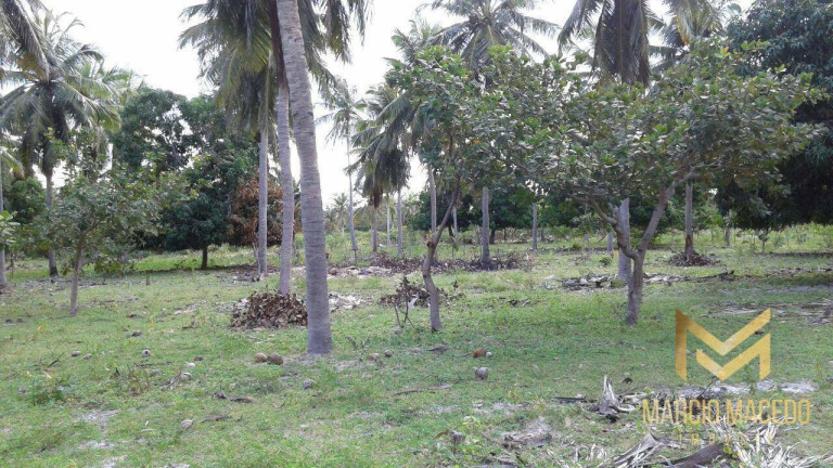 Imagem Terreno à Venda, 247.664 m² em Zona Rural - Beberibe Imagem Terreno à Venda, 247.664 m² em Zona Rural - Beberibe