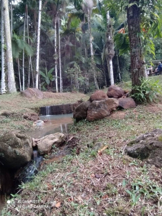 Imagem Terreno à Venda, 6.000 m² em Sertãozinho - Itapema