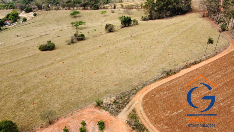 Imagem Imóvel com 3 Quartos à Venda, 12.000 m² em Centro - Mogi Guaçu Imagem Imóvel com 3 Quartos à Venda, 12.000 m² em Centro - Mogi Guaçu