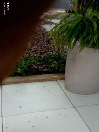 Imagem Casa com 3 Quartos à Venda, 265 m² em Tarumã - Manaus
