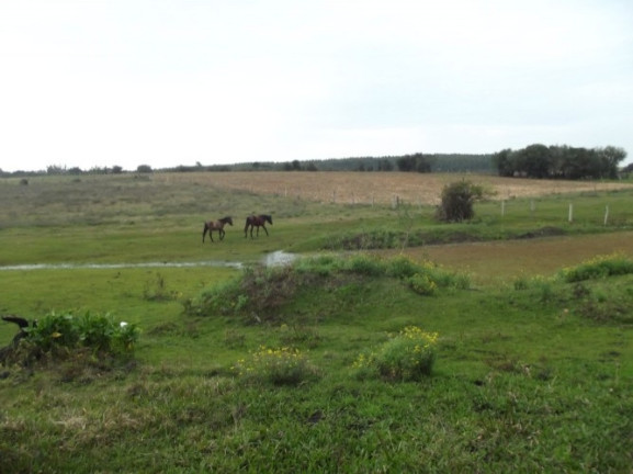 Imagem Chácara com 1 Quarto à Venda, 108.000 m² em Itapuã - Viamão Imagem Chácara com 1 Quarto à Venda, 108.000 m² em Itapuã - Viamão