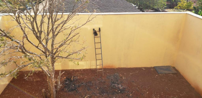 Imagem Galpão à Venda, 500 m² em Parque Rural Fazenda Santa Cândida - Campinas Imagem Galpão à Venda, 500 m² em Parque Rural Fazenda Santa Cândida - Campinas