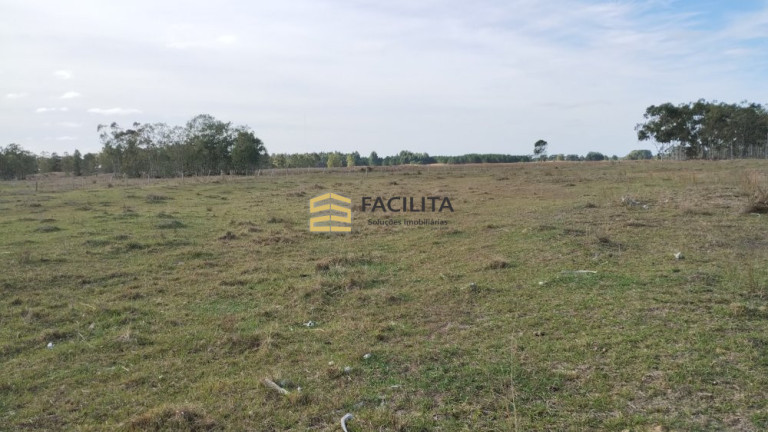 Imagem Imóvel com 2 Quartos à Venda, 470.000 m² em Quinta - Rio Grande Imagem Imóvel com 2 Quartos à Venda, 470.000 m² em Quinta - Rio Grande