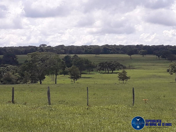 Imagem Chácara à Venda, 13 m² em Zona Rural - Jaraguá Imagem Chácara à Venda, 13 m² em Zona Rural - Jaraguá