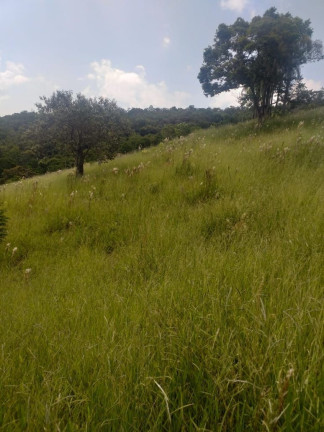 Imagem Terreno à Venda, 100 m² em Bandeira Branca - Jacareí Imagem Terreno à Venda, 100 m² em Bandeira Branca - Jacareí