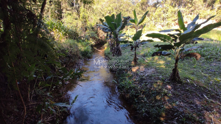 Imagem Imóvel à Venda,  em Ribeirão Da Velha - Nova Trento
