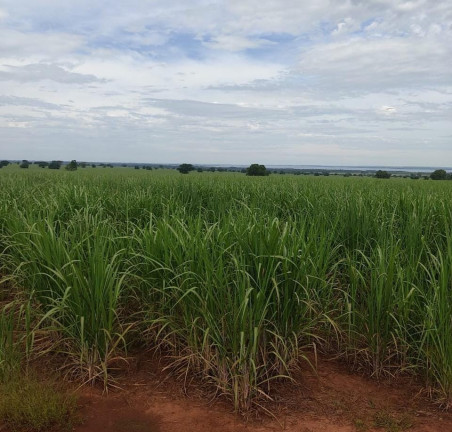 Imagem Imóvel à Venda, 125 m² em área Rural De Dracena - Dracena Imagem Imóvel à Venda, 125 m² em área Rural De Dracena - Dracena