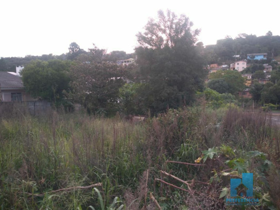 Imagem Terreno à Venda, 495 m² em Estrela - Ponta Grossa Imagem Terreno à Venda, 495 m² em Estrela - Ponta Grossa