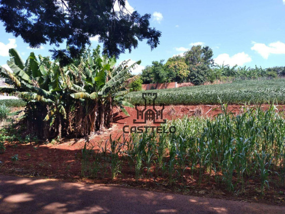 Imagem Fazenda à Venda, 121.000 m² em Coroados - Londrina