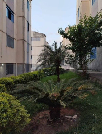 Imagem Apartamento com 2 Quartos à Venda, em Jardim Santa Cruz - Campinas Imagem Apartamento com 2 Quartos à Venda, em Jardim Santa Cruz - Campinas