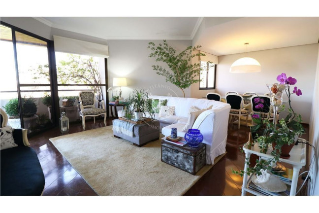 Imagem Apartamento com 5 Quartos à Venda, 170 m² em Vila Suzana - São Paulo Imagem Apartamento com 5 Quartos à Venda, 170 m² em Vila Suzana - São Paulo