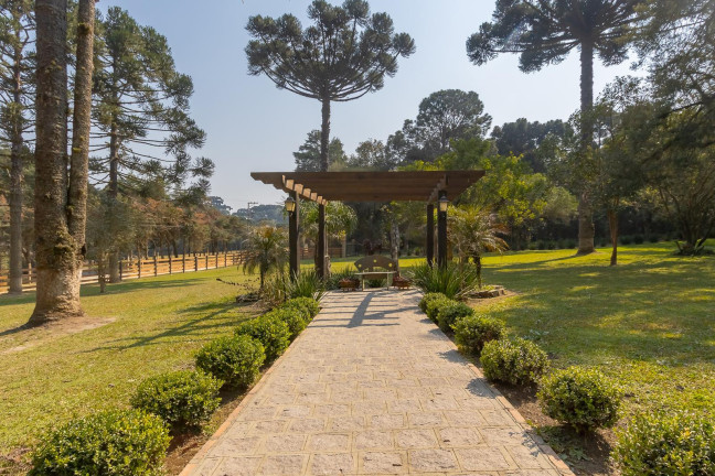Imagem Imóvel com 4 Quartos à Venda, 37.906 m² em Ouro Verde - Campo Largo Imagem Imóvel com 4 Quartos à Venda, 37.906 m² em Ouro Verde - Campo Largo