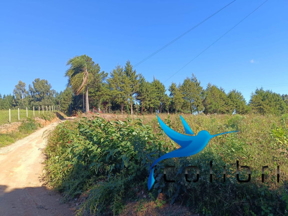 Chácara à Venda, 2.420 m² em Leão - Agudos Do Sul
