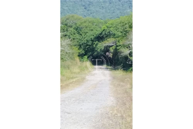 Imagem Terreno à Venda, 1.335 m² em Peruíbe Imagem Terreno à Venda, 1.335 m² em Peruíbe