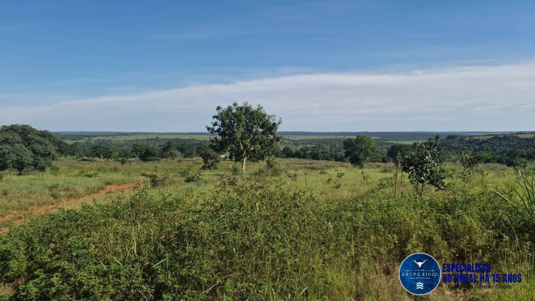 Imagem Fazenda à Venda, 400 m² em Zona Rural - Ribeirãozinho Imagem Fazenda à Venda, 400 m² em Zona Rural - Ribeirãozinho