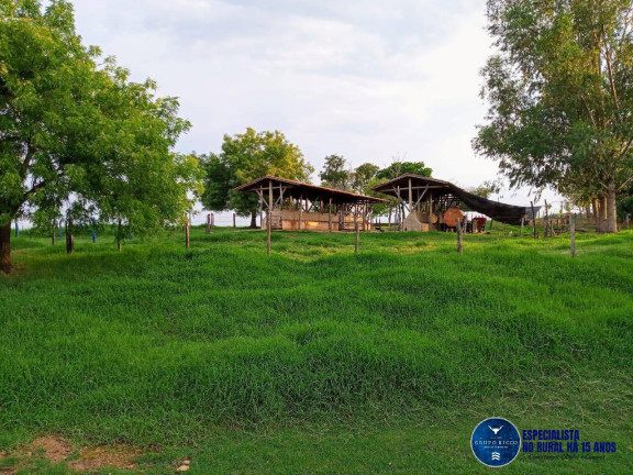 Imagem Chácara à Venda, 8 m² em Zona Rural - Corumbaíba Imagem Chácara à Venda, 8 m² em Zona Rural - Corumbaíba
