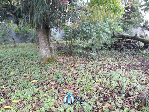 Imagem Terreno à Venda, 2.400 m² em Chácaras Rio-petrópolis - Duque De Caxias