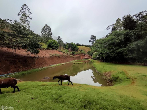 Imagem Imóvel com 3 Quartos à Venda, 135.000 m²