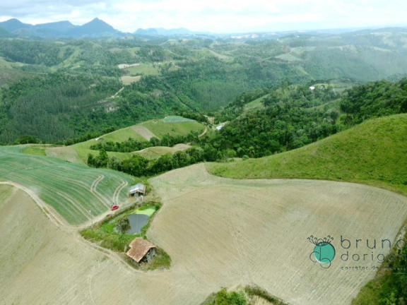 Imagem Imóvel com 2 Quartos à Venda, 425.000 m² em Zona Rural - Alfredo Wagner Imagem Imóvel com 2 Quartos à Venda, 425.000 m² em Zona Rural - Alfredo Wagner