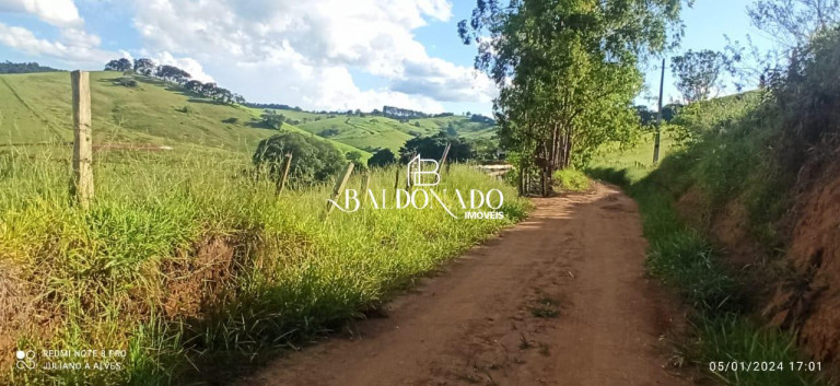 Imagem Terreno à Venda, 2.000 m² em Centro - Estiva