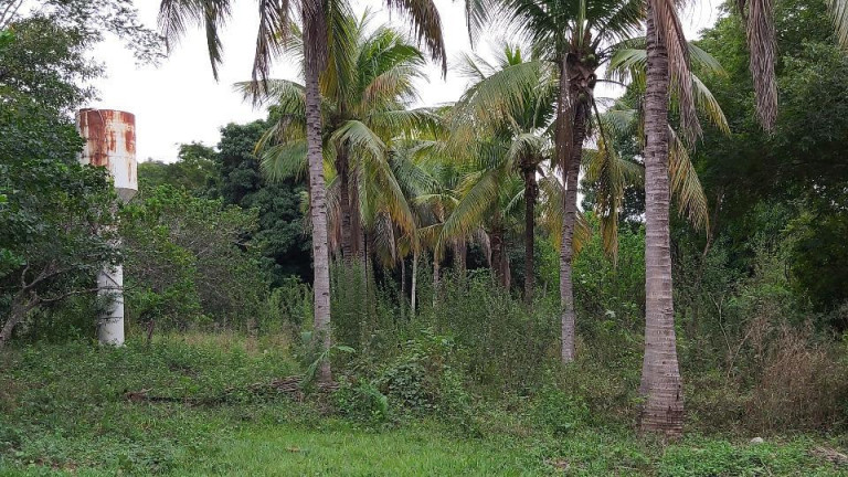 Imagem Imóvel com 1 Quarto à Venda, 14 m² em Zona Rural - Aquidauana