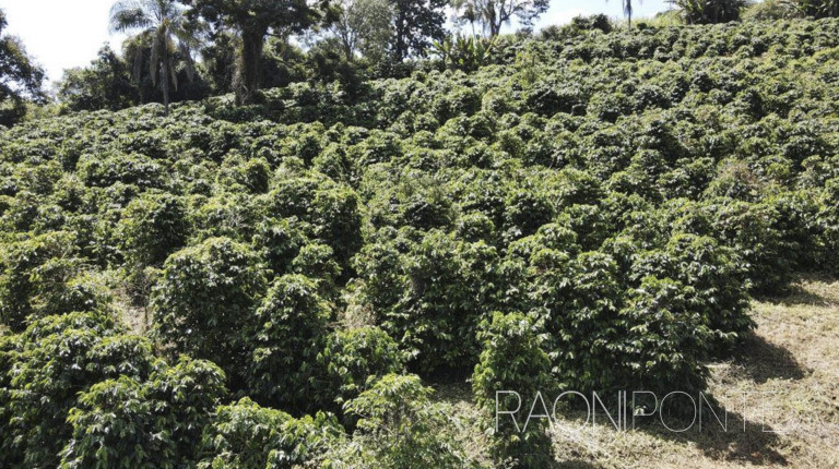 Imagem Fazenda à Venda, 484.000 m² em Zona Rural - Caconde Imagem Fazenda à Venda, 484.000 m² em Zona Rural - Caconde
