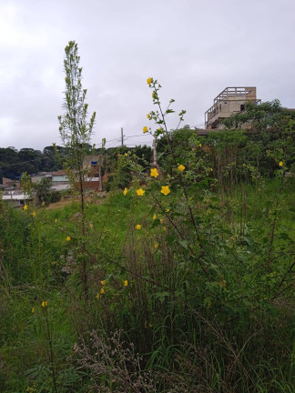 Imagem Terreno à Venda, 4.379 m² em Campo De Santana - Curitiba Imagem Terreno à Venda, 4.379 m² em Campo De Santana - Curitiba