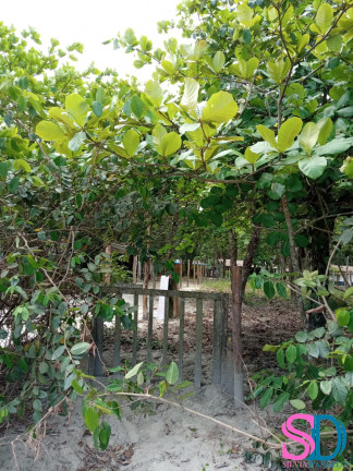 Imagem Terreno à Venda, 400 m² em Ubatumirim - Ubatuba Imagem Terreno à Venda, 400 m² em Ubatumirim - Ubatuba