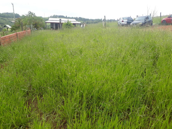 Imagem Terreno à Venda, 250 m² em Juruparazinho - Piedade Imagem Terreno à Venda, 250 m² em Juruparazinho - Piedade