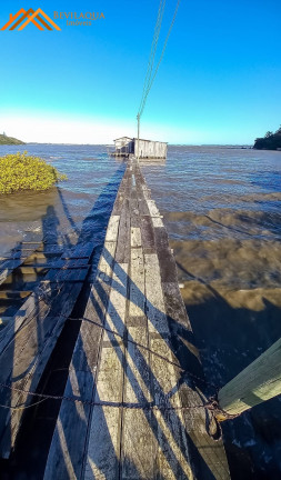 Imagem Imóvel com 3 Quartos à Venda, 3.194 m² em Tamborete - Imaruí