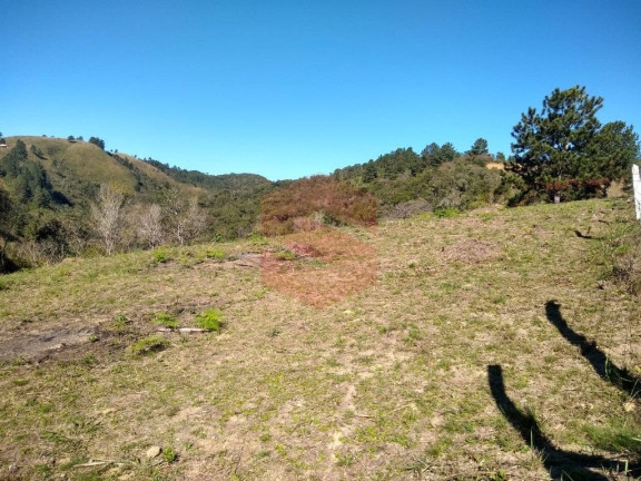 Imagem Chácara com 1 Quarto à Venda, 1 m² em Itambezinho - Campo Largo