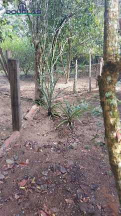 Imagem Casa com 3 Quartos à Venda, 1.700 m² em Viamão Imagem Casa com 3 Quartos à Venda, 1.700 m² em Viamão