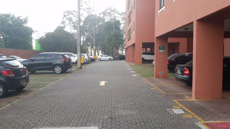 Imagem Apartamento com 3 Quartos à Venda, 59 m² em Vila Do Castelo - São Paulo