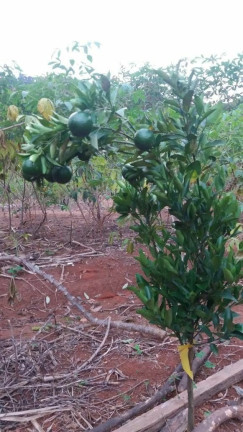 Imagem Imóvel à Venda, 1.400 m² em Boa Vista Dos Silva - Bragança Paulista Imagem Imóvel à Venda, 1.400 m² em Boa Vista Dos Silva - Bragança Paulista