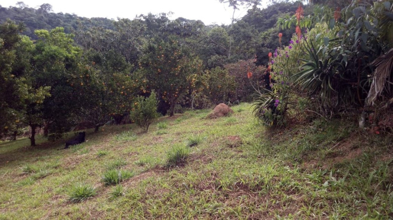 Imagem Fazenda à Venda, 80 m² em Taboão - Mogi Das Cruzes Imagem Fazenda à Venda, 80 m² em Taboão - Mogi Das Cruzes