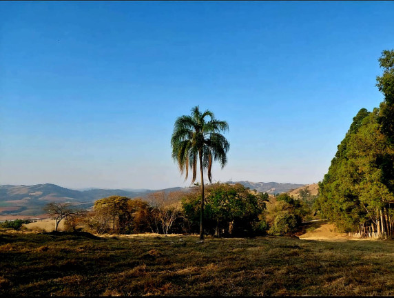 Imagem Chácara à Venda, 3 m² em Vargem Grande Do Sul Imagem Chácara à Venda, 3 m² em Vargem Grande Do Sul
