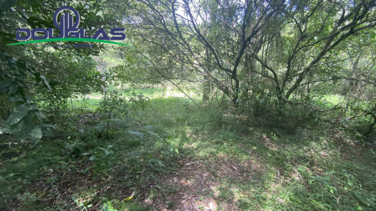 Imagem Terreno à Venda, 5.000 m² em Viamão