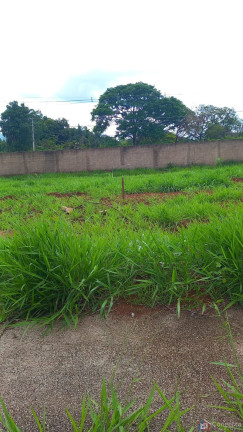 Imagem Terreno à Venda, 364 m² em Alto Dos Caiçaras - Patos De Minas