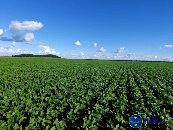 Imagem Fazenda à Venda, 343 m² em Zona Rural - Montes Claros De Goiás Imagem Fazenda à Venda, 343 m² em Zona Rural - Montes Claros De Goiás