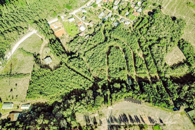 Imagem Imóvel à Venda, 63.000 m² em área Rural De São José Dos Pinhais - São José Dos Pinhais Imagem Imóvel à Venda, 63.000 m² em área Rural De São José Dos Pinhais - São José Dos Pinhais