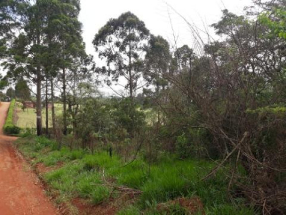Imagem Terreno à Venda, 5.643 m² em Paruru - Ibiúna