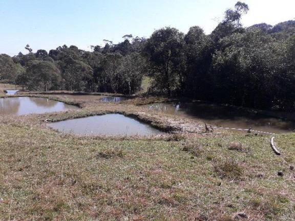 Imagem Imóvel com 3 Quartos à Venda, 26.105 m² em Ribeirãozinho - Agudos Do Sul Imagem Imóvel com 3 Quartos à Venda, 26.105 m² em Ribeirãozinho - Agudos Do Sul