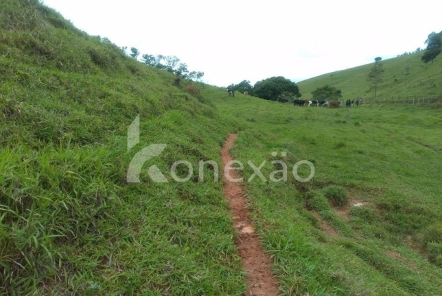 Imagem Chácara com 4 Quartos à Venda, 300 m² em Canaã - Jambeiro Imagem Chácara com 4 Quartos à Venda, 300 m² em Canaã - Jambeiro