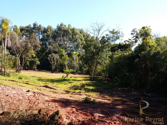 Imagem Terreno à Venda, 3.000 m² em Fazenda São Borja - São Leopoldo