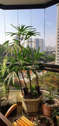 Imagem Apartamento com 3 Quartos à Venda, 155 m² em Jardim - Santo André Imagem Apartamento com 3 Quartos à Venda, 155 m² em Jardim - Santo André